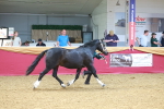 SBM_16638