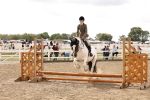 SBM_06088