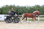 SBM_000388