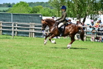 SBM_07927