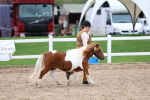 SBM_05911