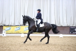 SBM_006736