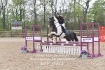 BPP_4311