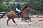BPP_3162