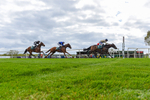 240424-Race 2-Restless Prince-3464