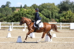 SBM_013881