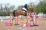 Cls 3 British Novice and 90cm Open portfolio
