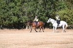 WJ6_7287