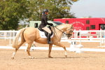 SBM_03747