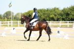 SBM_009768