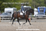 BPP_6533