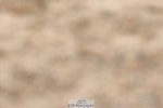 250622-134133-17081