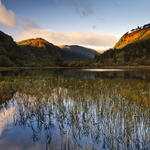 Autumn Morning Calm