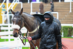 141125-Race 4-Libberty Hunter-0139