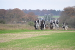 WJ6_9121