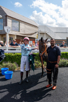 160725-Race 2-Shetakesthegold-2675