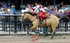 3HRodeo_CFD_JUL_24_2026_00239