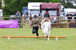SBM_08203