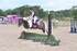 BPP_8297