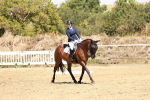 SBM_002995