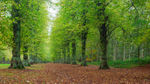 Nottinghamshire portfolio