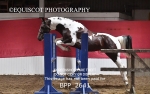 BPP_2641