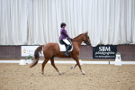 SBM_003260