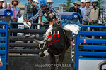 3HRodeo7-11-24_LJD_3HR2390_LJD