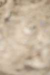 SBM_004814