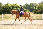 SBM_008587