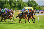 160725-Race 6-Bellarchi-9418