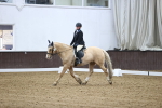 SBM_004309