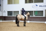 SBM_015564