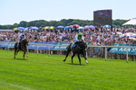 110726-Race 1-Big Cigar-6419