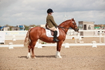 SBM_05876