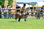 SBM_03551