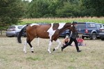 WJ6_6089