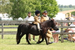 SBM_05174