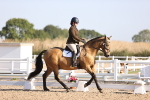 SBM_01682