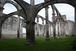 Basilica pillars & arches