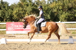 SBM_007727