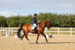 SBM_007484