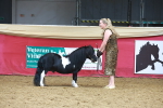 SBM_16564