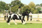 SBM_67578