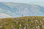 Helvellyn-20