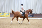 SBM_001539