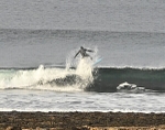 DSC_9317