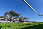 Race 5 4.32pm Laura Barry Memorial Handicap portfolio