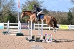 Cls 20 British Novice and 90cm Open portfolio