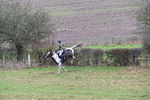 WJ6_5367